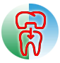 Dental Crowns
